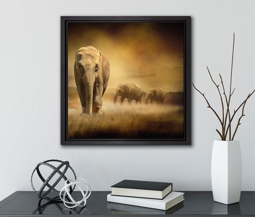 Prächtiger Elefanten in Steppe  auf Leinwandbild Quadratisch gerahmt mit Kirschblüten