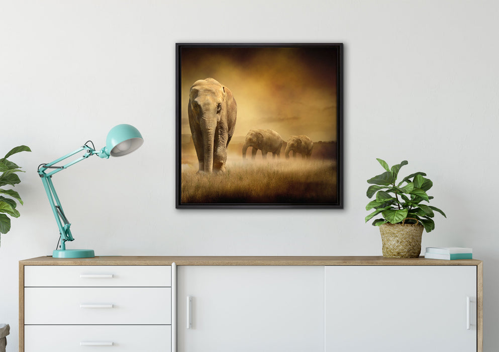 Prächtiger Elefanten in Steppe auf Leinwandbild gerahmt Quadratisch verschiedene Größen im Wohnzimmer