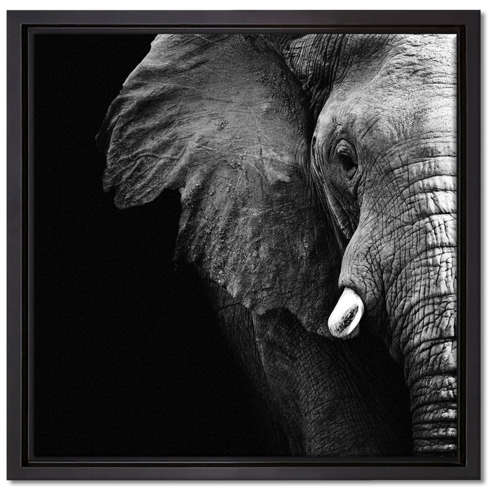Elefant Porträt auf Leinwandbild Quadratisch gerahmt Größe 40x40