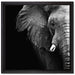 Elefant Porträt auf Leinwandbild Quadratisch gerahmt Größe 40x40