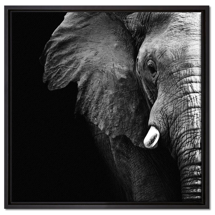 Elefant Porträt auf Leinwandbild Quadratisch gerahmt Größe 60x60