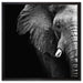 Elefant Porträt auf Leinwandbild Quadratisch gerahmt Größe 60x60
