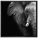 Elefant Porträt auf Leinwandbild Quadratisch gerahmt Größe 70x70