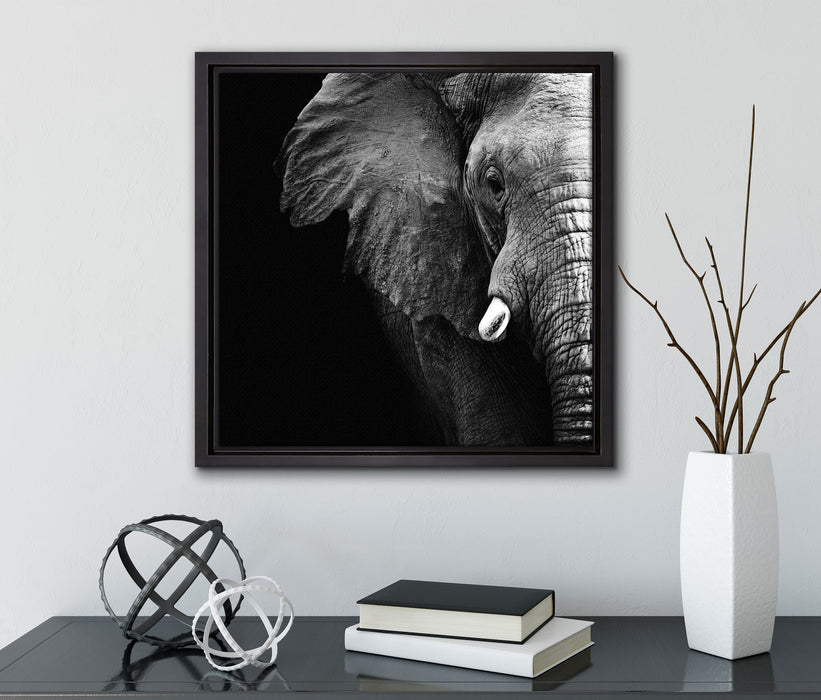 Elefant Porträt  auf Leinwandbild Quadratisch gerahmt mit Kirschblüten