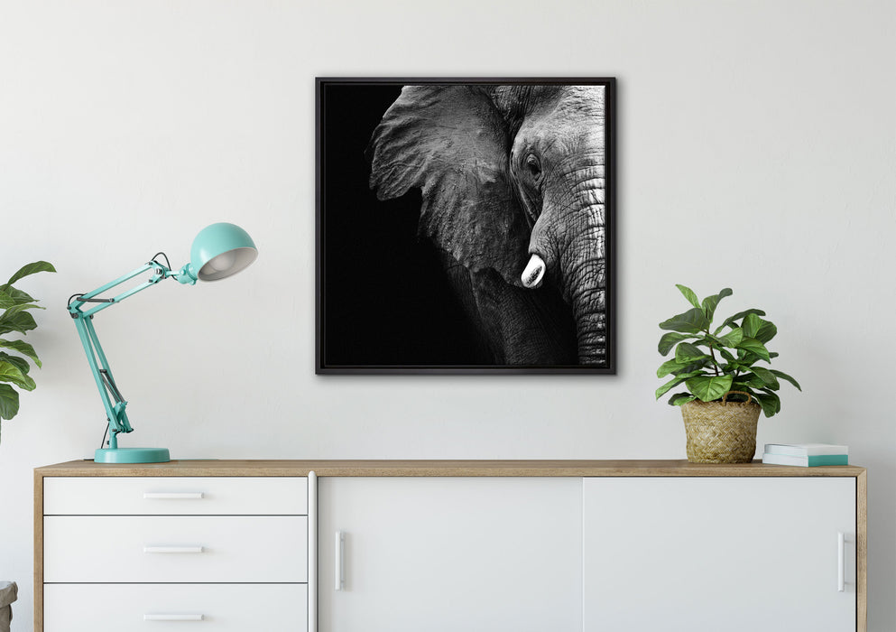 Elefant Porträt auf Leinwandbild gerahmt Quadratisch verschiedene Größen im Wohnzimmer