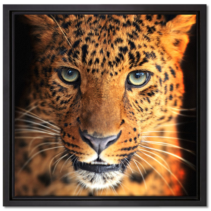 Stolzer Leopard auf Leinwandbild Quadratisch gerahmt Größe 40x40