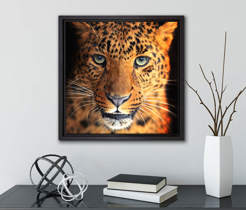 Stolzer Leopard  auf Leinwandbild Quadratisch gerahmt mit Kirschblüten