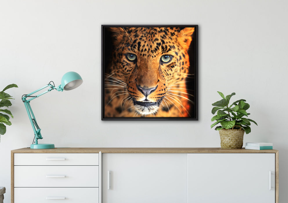 Stolzer Leopard auf Leinwandbild gerahmt Quadratisch verschiedene Größen im Wohnzimmer