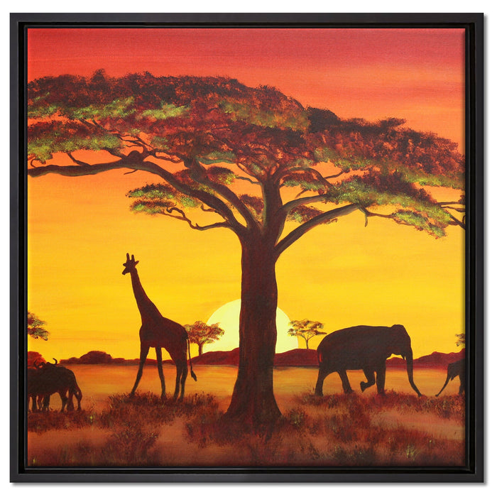 Savanne Kunst auf Leinwandbild Quadratisch gerahmt Größe 60x60