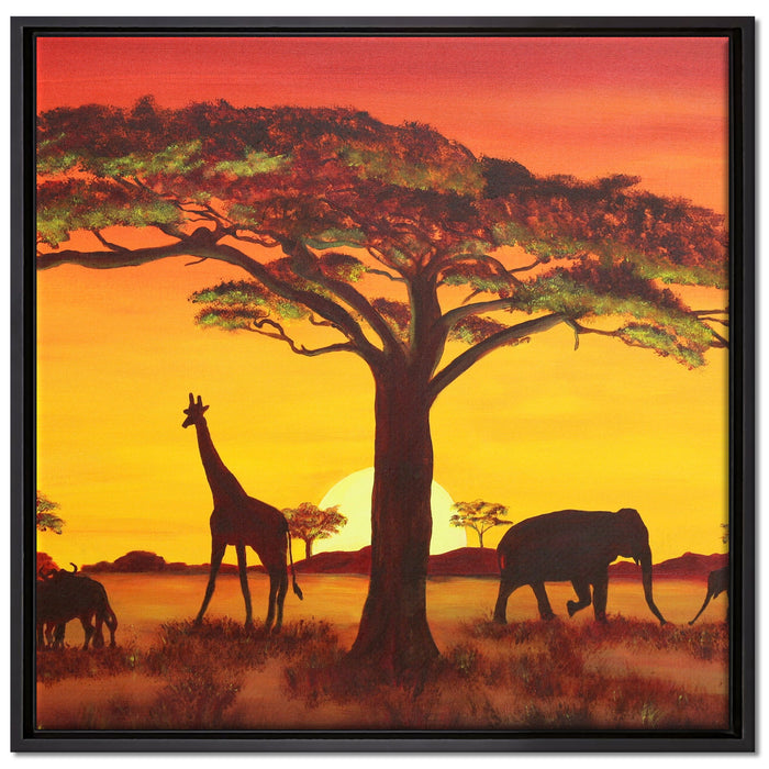 Savanne Kunst auf Leinwandbild Quadratisch gerahmt Größe 70x70
