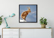 Steinbock im Schnee auf Leinwandbild gerahmt Quadratisch verschiedene Größen im Wohnzimmer
