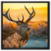 Stolzer Hirsch auf Wiese auf Leinwandbild Quadratisch gerahmt Größe 60x60