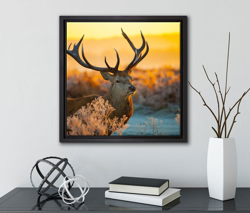 Stolzer Hirsch auf Wiese  auf Leinwandbild Quadratisch gerahmt mit Kirschblüten