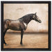 Brauner Hengst auf Leinwandbild Quadratisch gerahmt Größe 40x40