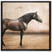 Brauner Hengst auf Leinwandbild Quadratisch gerahmt Größe 70x70