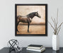 Brauner Hengst  auf Leinwandbild Quadratisch gerahmt mit Kirschblüten