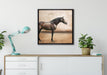 Brauner Hengst auf Leinwandbild gerahmt Quadratisch verschiedene Größen im Wohnzimmer