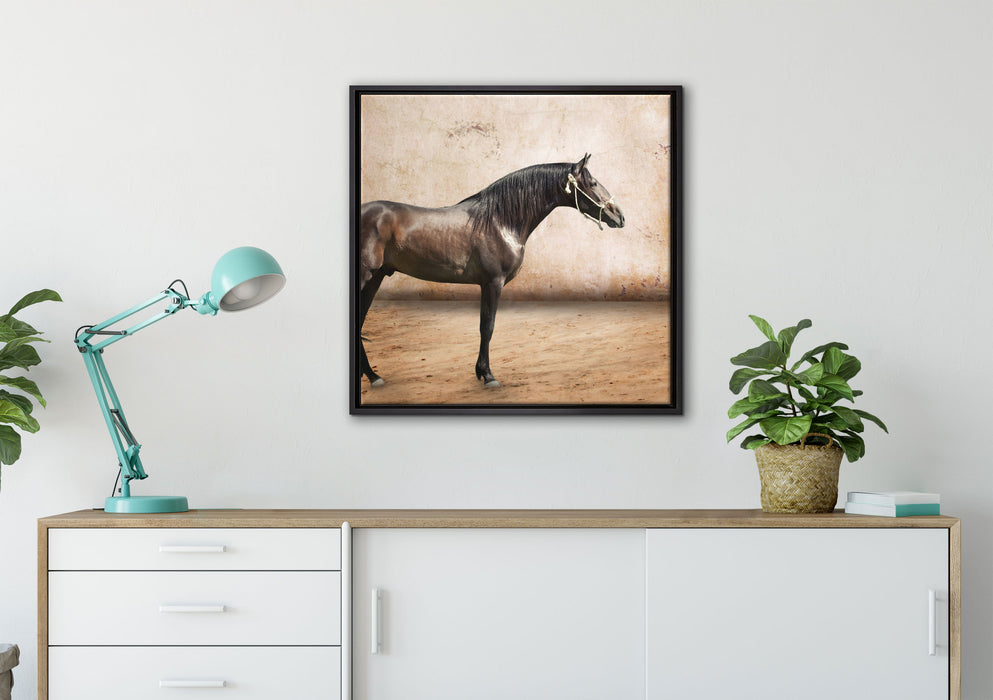 Brauner Hengst auf Leinwandbild gerahmt Quadratisch verschiedene Größen im Wohnzimmer