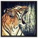 Brüllender Tiger auf Leinwandbild Quadratisch gerahmt Größe 60x60
