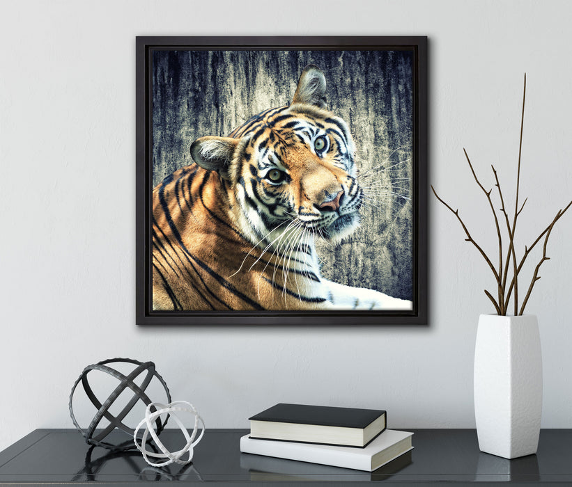 Neugieriger Tiger  auf Leinwandbild Quadratisch gerahmt mit Kirschblüten