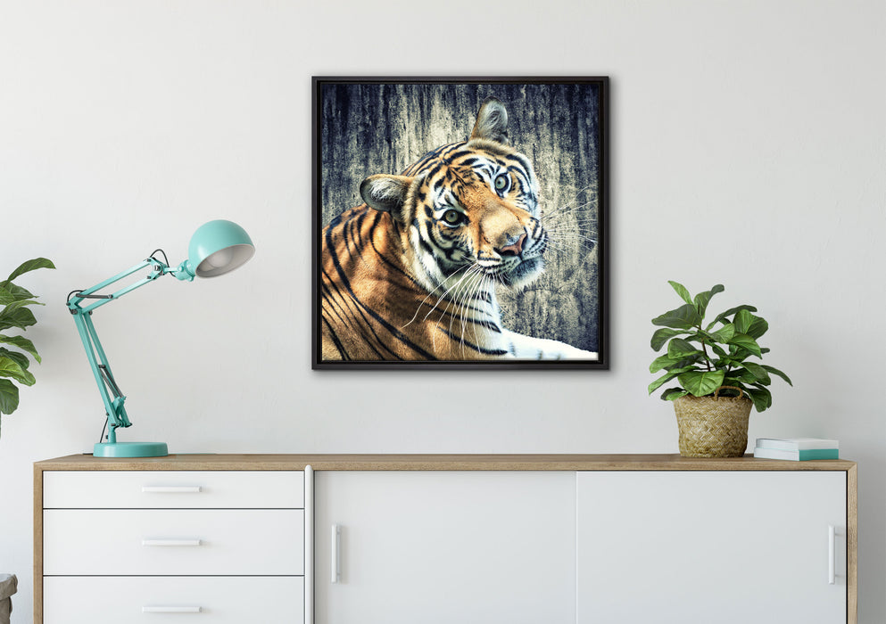 Neugieriger Tiger auf Leinwandbild gerahmt Quadratisch verschiedene Größen im Wohnzimmer