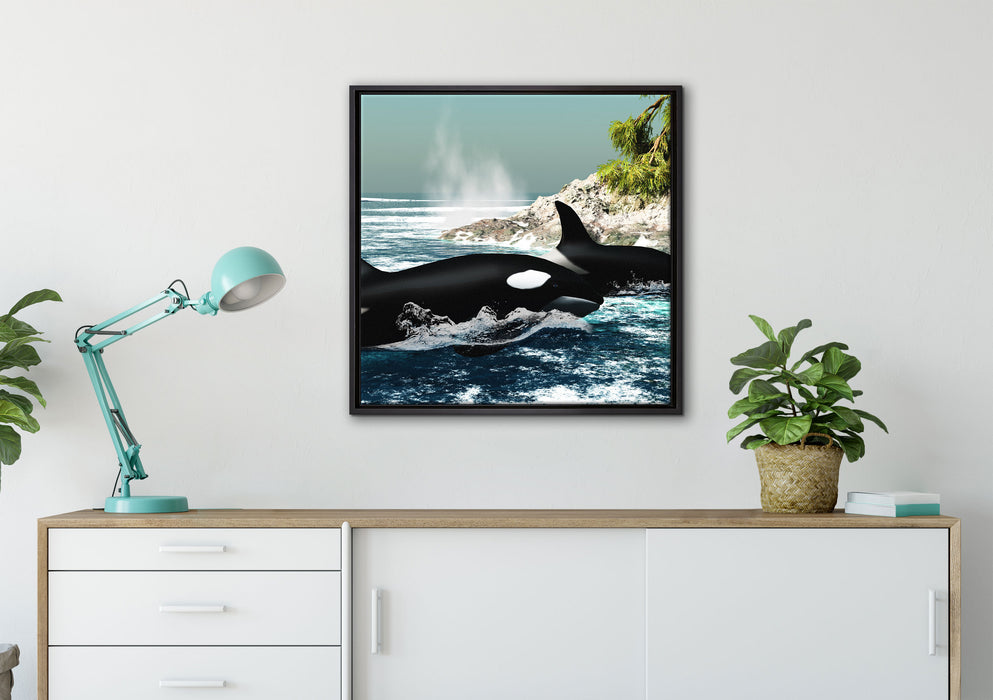 Orcas vor Insel auf Leinwandbild gerahmt Quadratisch verschiedene Größen im Wohnzimmer