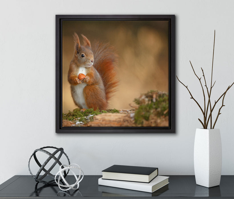 Freches Eichhörnchen mit Nuss  auf Leinwandbild Quadratisch gerahmt mit Kirschblüten