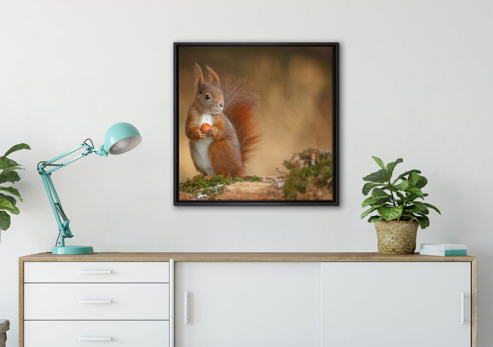 Freches Eichhörnchen mit Nuss auf Leinwandbild gerahmt Quadratisch verschiedene Größen im Wohnzimmer
