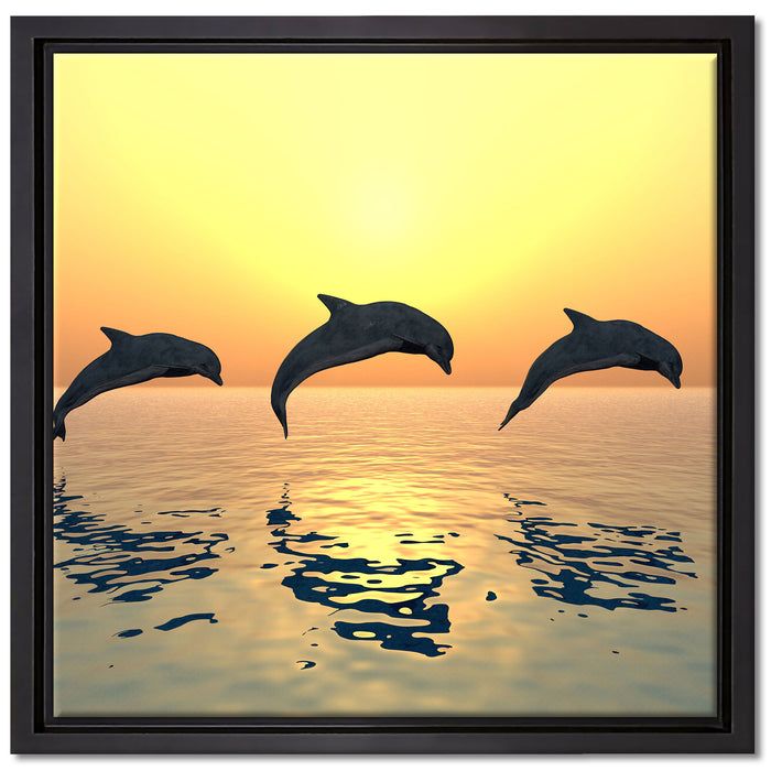 Delfine im Sonnenuntergang auf Leinwandbild Quadratisch gerahmt Größe 40x40