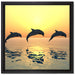 Delfine im Sonnenuntergang auf Leinwandbild Quadratisch gerahmt Größe 40x40
