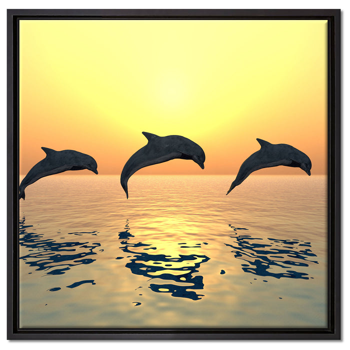 Delfine im Sonnenuntergang auf Leinwandbild Quadratisch gerahmt Größe 60x60