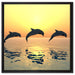 Delfine im Sonnenuntergang auf Leinwandbild Quadratisch gerahmt Größe 60x60