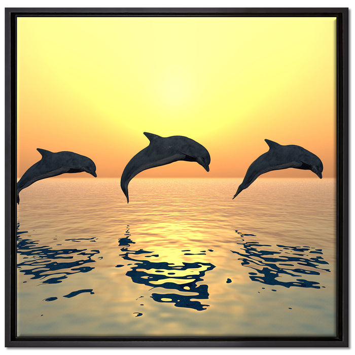 Delfine im Sonnenuntergang auf Leinwandbild Quadratisch gerahmt Größe 70x70