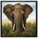 Imposanter Elefant auf Leinwandbild Quadratisch gerahmt Größe 70x70