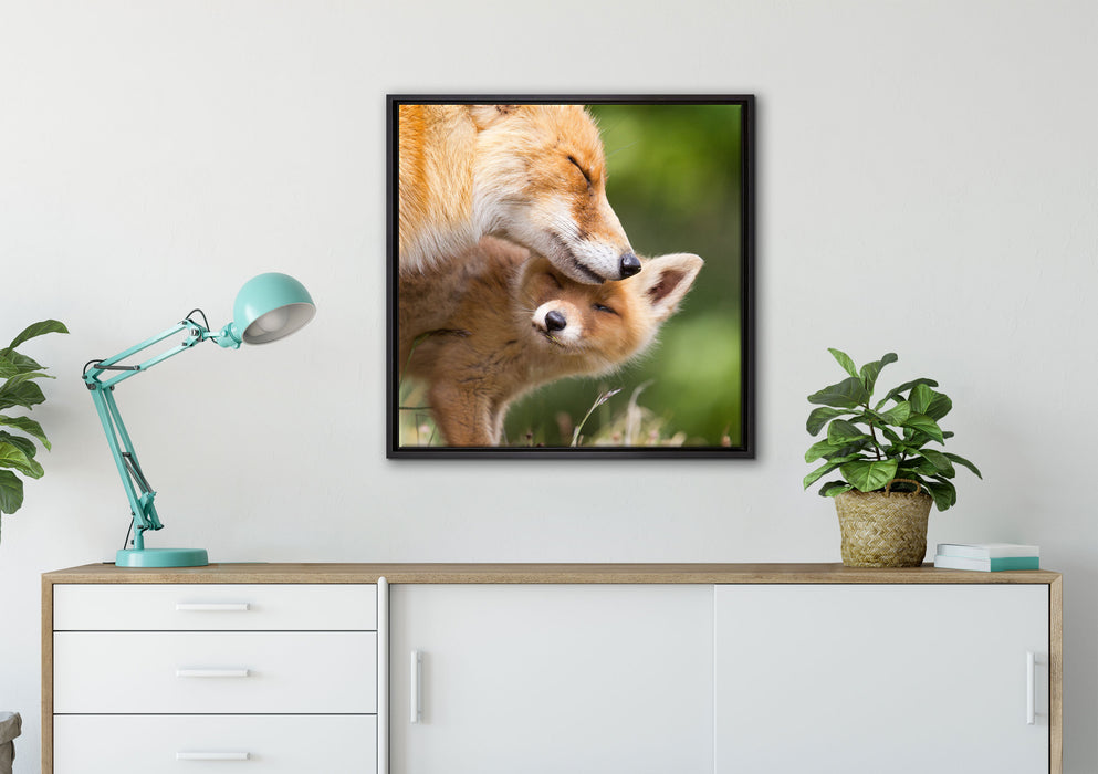 Kuschelnde Füchse auf Leinwandbild gerahmt Quadratisch verschiedene Größen im Wohnzimmer
