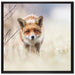 Schleichender fuchs auf Leinwandbild Quadratisch gerahmt Größe 70x70