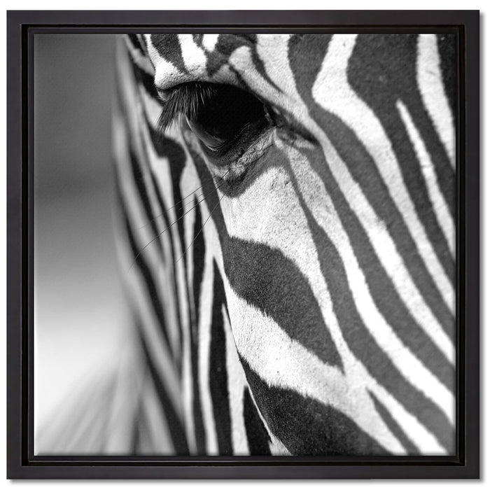 Zebra Nahaufnahme auf Leinwandbild Quadratisch gerahmt Größe 40x40