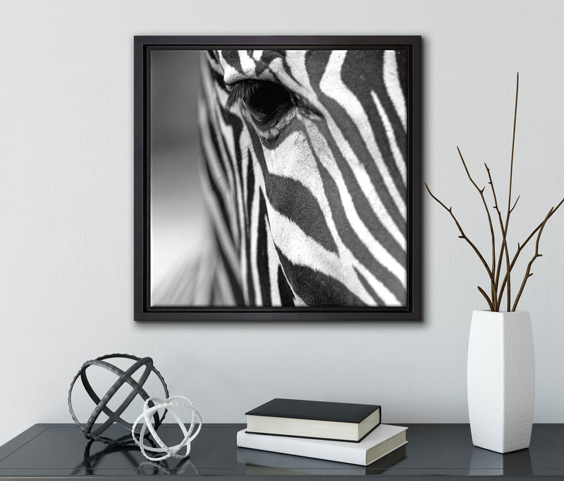 Zebra Nahaufnahme  auf Leinwandbild Quadratisch gerahmt mit Kirschblüten