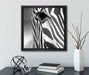 Zebra Nahaufnahme  auf Leinwandbild Quadratisch gerahmt mit Kirschblüten
