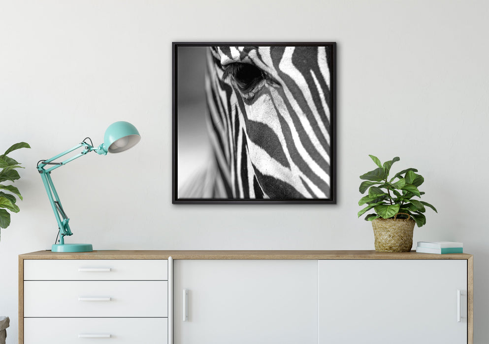 Zebra Nahaufnahme auf Leinwandbild gerahmt Quadratisch verschiedene Größen im Wohnzimmer