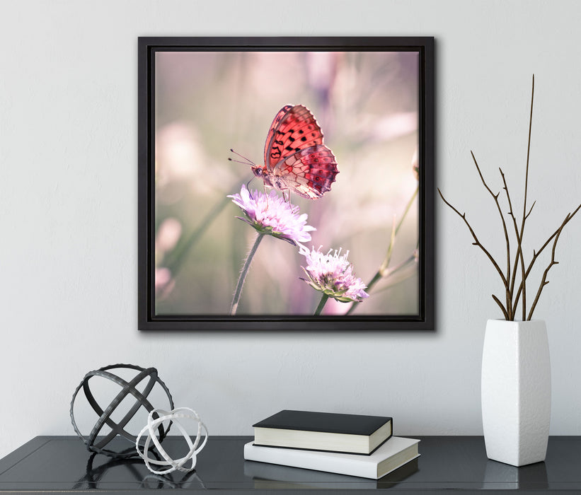 Bezaubernder Schmetterling  auf Leinwandbild Quadratisch gerahmt mit Kirschblüten
