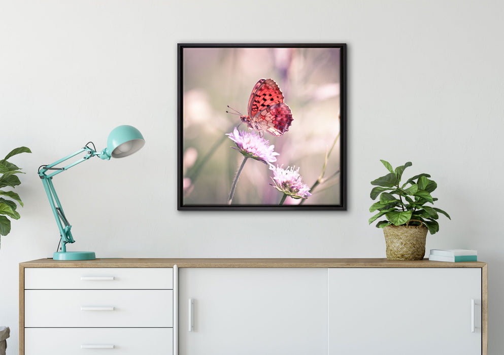 Bezaubernder Schmetterling auf Leinwandbild gerahmt Quadratisch verschiedene Größen im Wohnzimmer