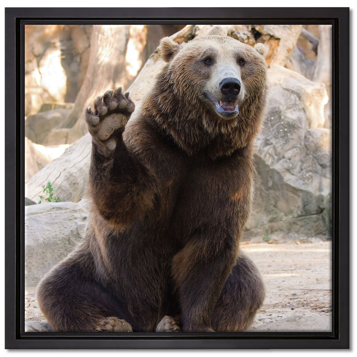 Bär sagt Hallo auf Leinwandbild Quadratisch gerahmt Größe 40x40