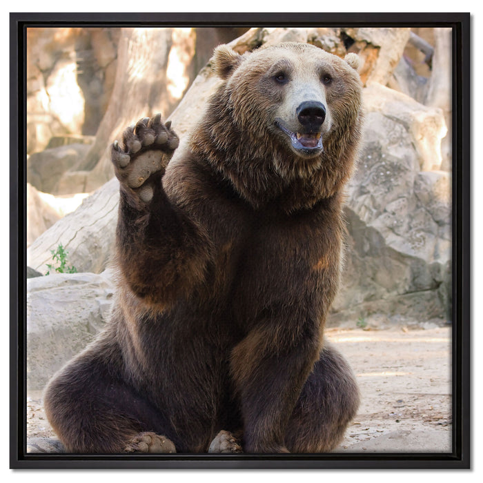 Bär sagt Hallo auf Leinwandbild Quadratisch gerahmt Größe 60x60