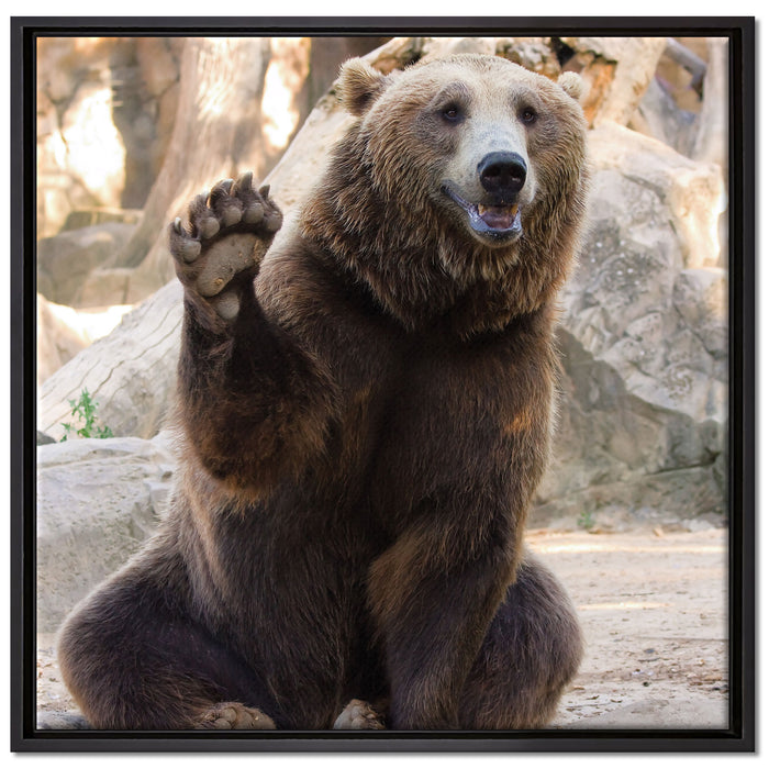 Bär sagt Hallo auf Leinwandbild Quadratisch gerahmt Größe 70x70