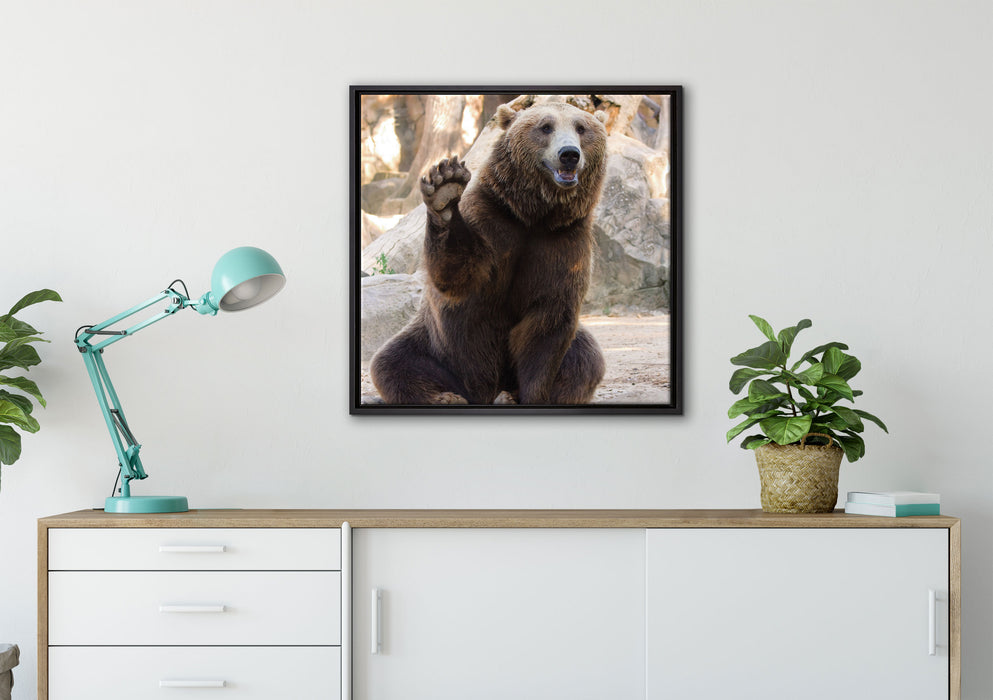 Bär sagt Hallo auf Leinwandbild gerahmt Quadratisch verschiedene Größen im Wohnzimmer