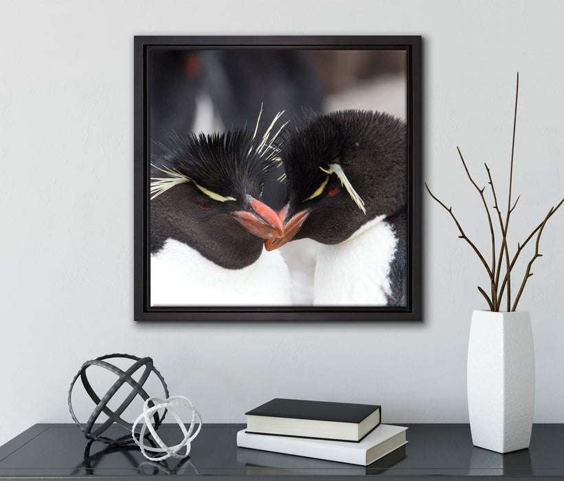 Pinguin Kuss  auf Leinwandbild Quadratisch gerahmt mit Kirschblüten