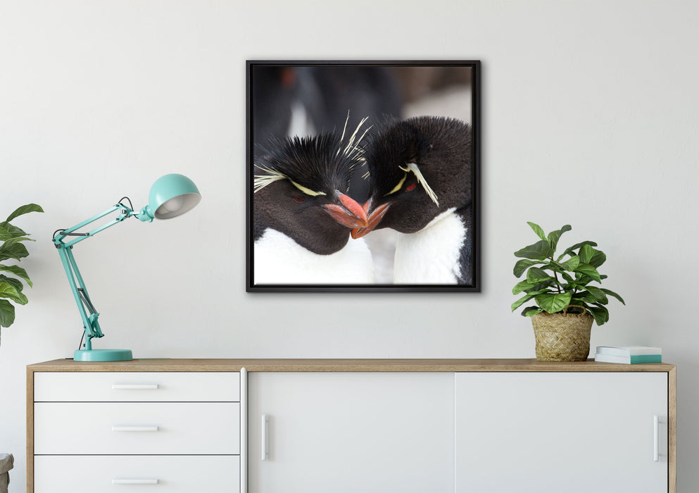 Pinguin Kuss auf Leinwandbild gerahmt Quadratisch verschiedene Größen im Wohnzimmer