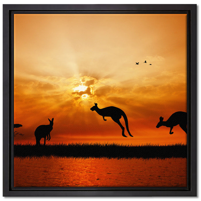 Kängurus im Sonnenlicht auf Leinwandbild Quadratisch gerahmt Größe 40x40