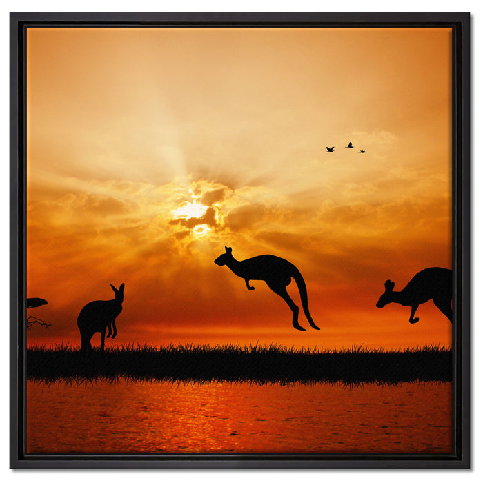 Kängurus im Sonnenlicht auf Leinwandbild Quadratisch gerahmt Größe 60x60